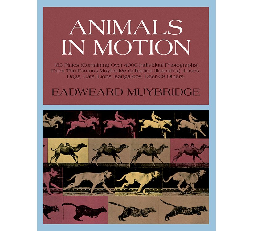 Animals in Motion