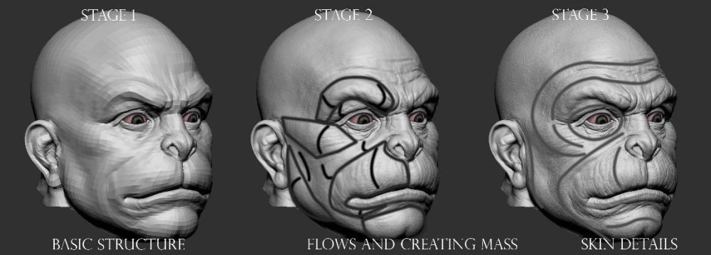 15 tips to master ZBrush: Create basic forms in low subdivision