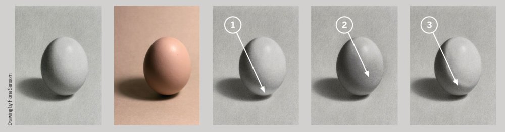 5 images of a egg to demonstrate different tonal qualities and mistakes