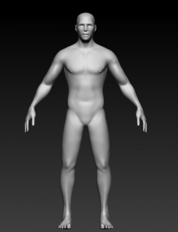 Free 3D models: Male figure