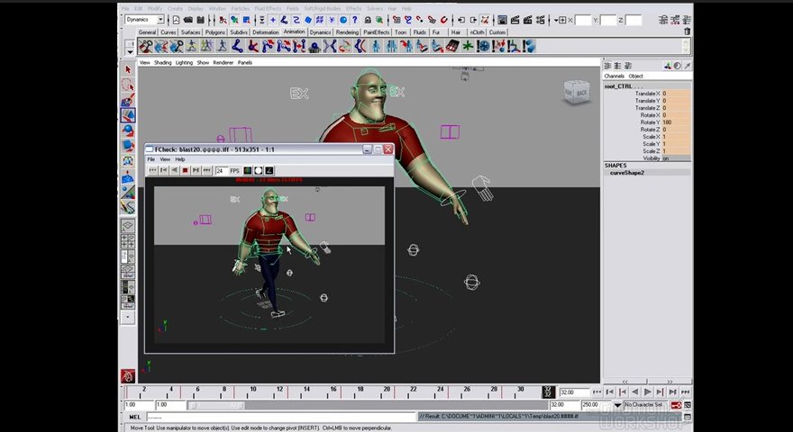 Animation software interface