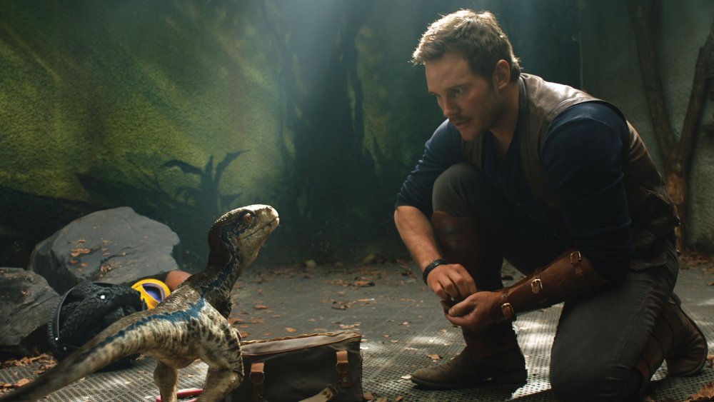 Velociraptor and Owen Grady