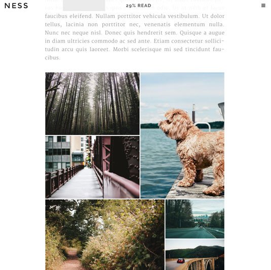 Website templates - Ness