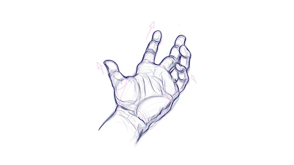 How to draw hands: begin to lay in detail