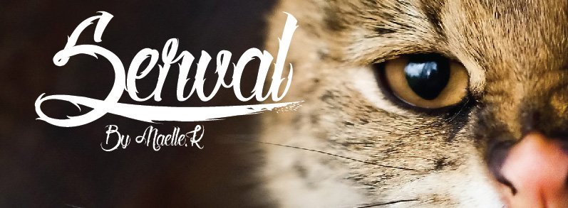 Tattoo font: Serval