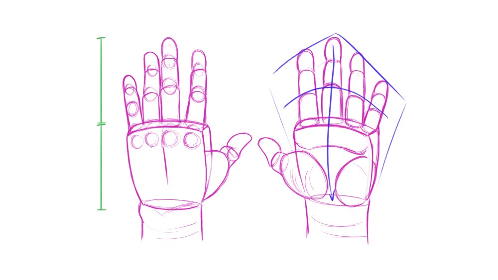 How to draw hands: build it in 3D and then observe
