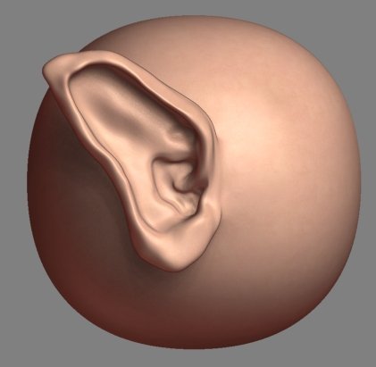 ZBrush tutorials: Modelling ears