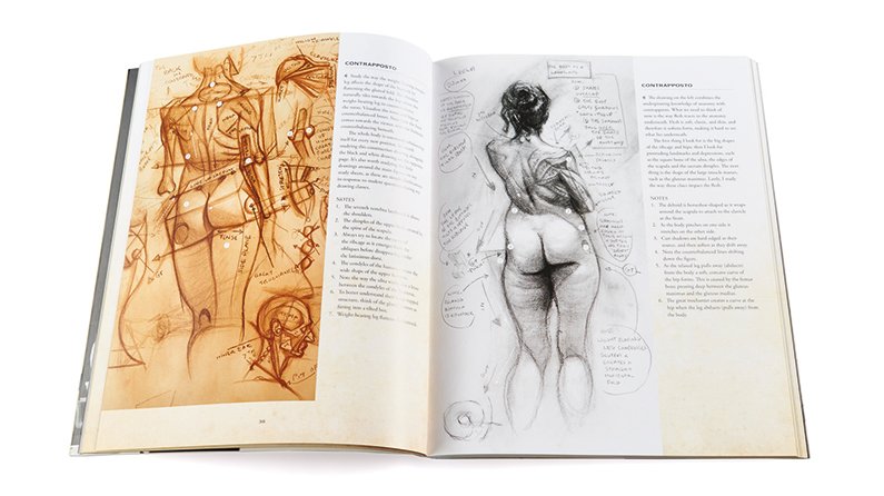 The anatomy of style book