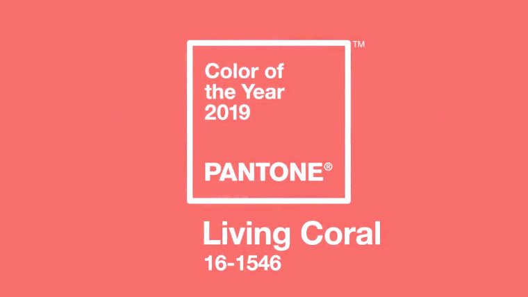 Sample of Living Coral