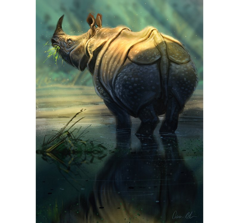 Aaron Blaise: Rhino