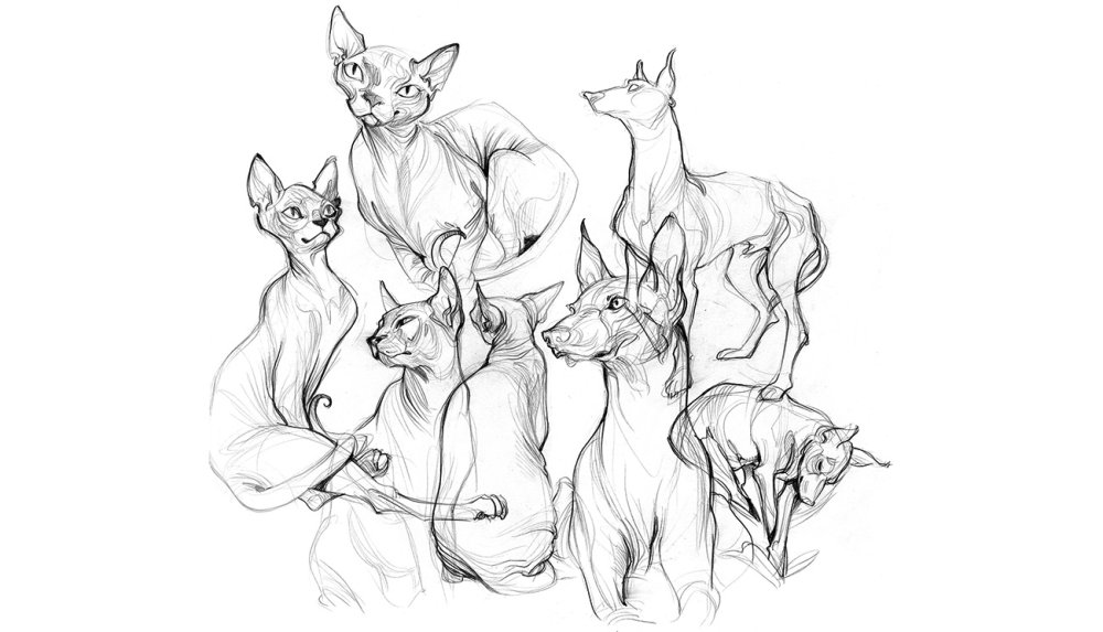 Studies of dogs and cats