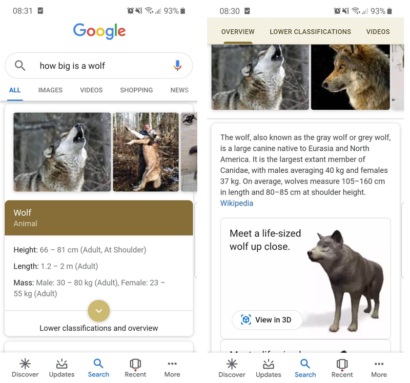 Google AR animals