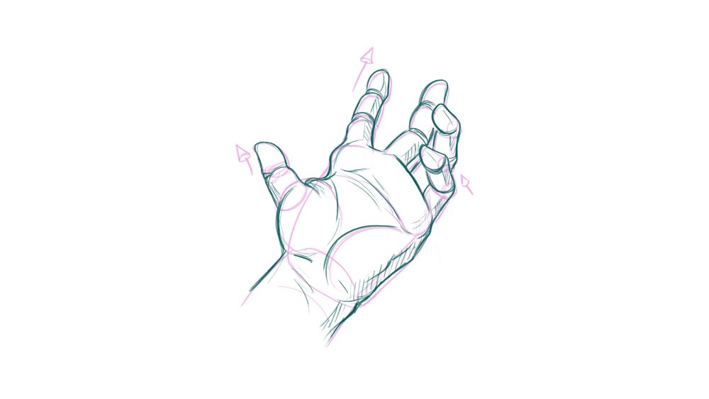 How to draw hands: begin to find gesture and forms