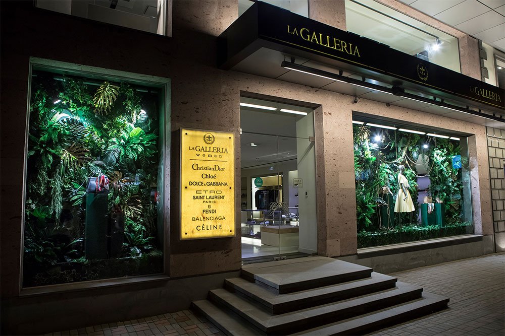 Shop exterior with lush jungle plants in the window display