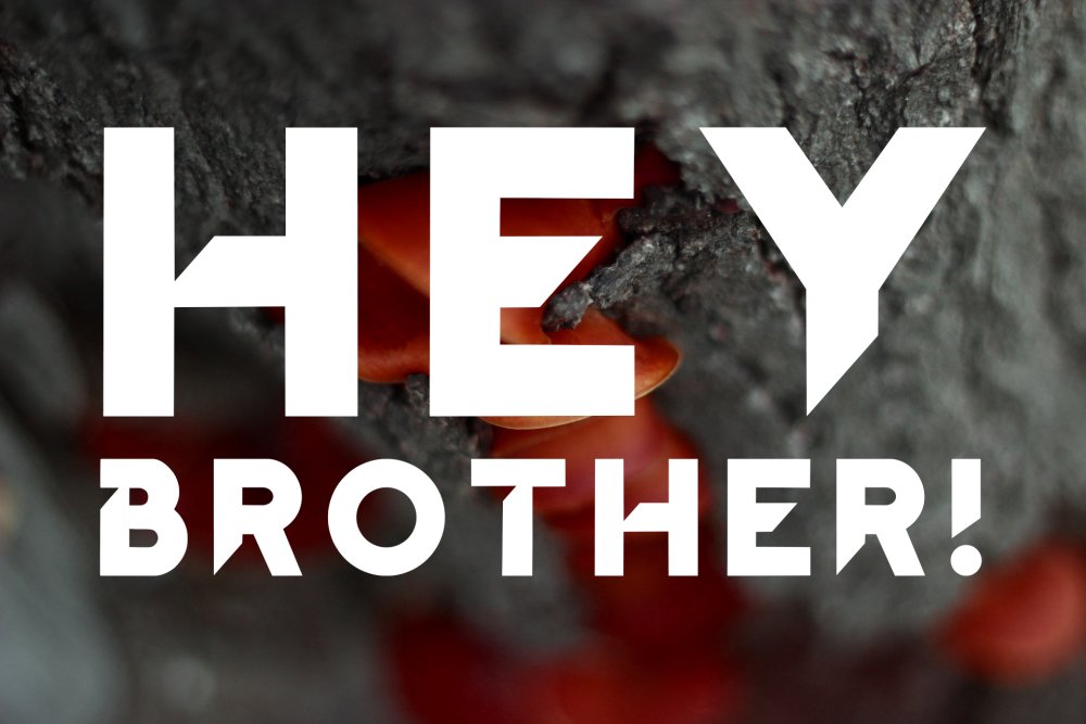 Hey Brother! written in Hey Brother!