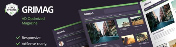 Grimag, an Ad Optimized WordPress Theme That Will Keep Ad Blockers Away