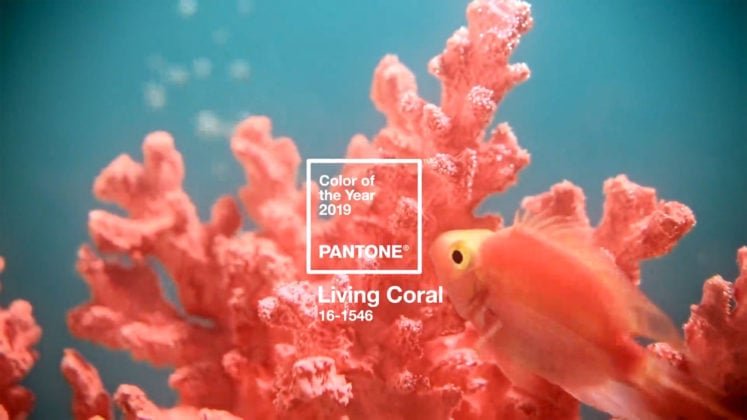 Pantone´s Color of The Year is Announced